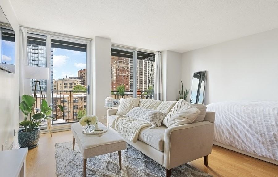 450 W Briar Pl #5E - Photo 7 of 10