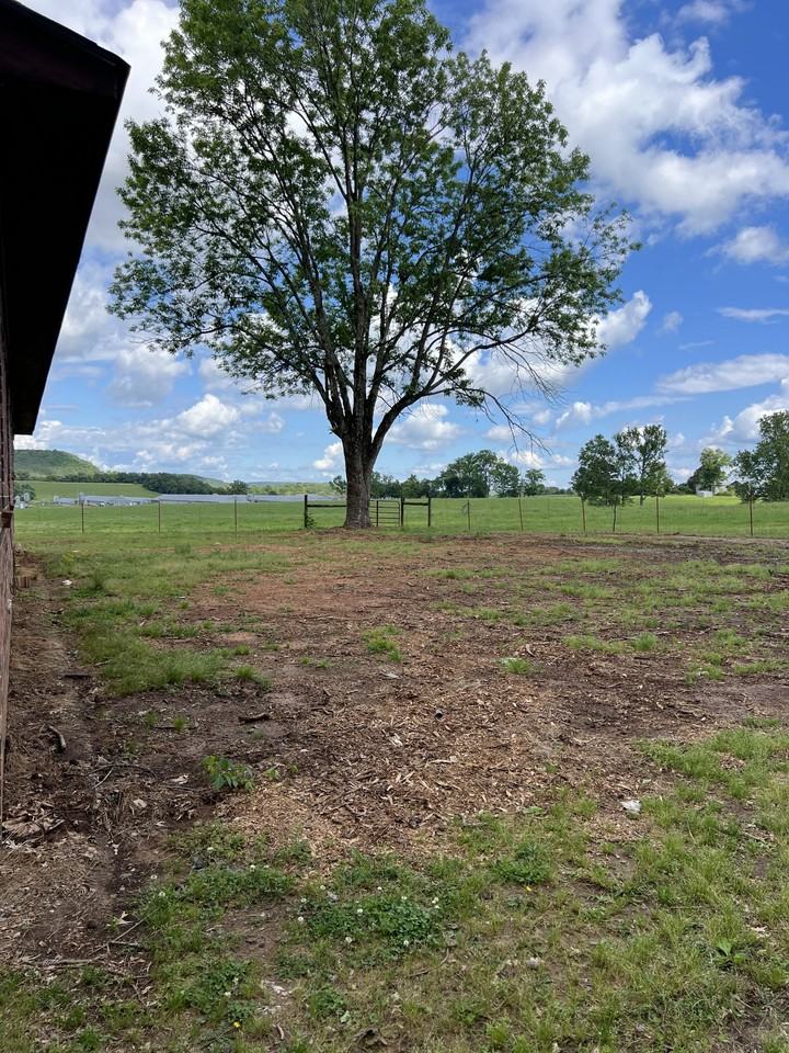 2713 Highway 315 #1 - Photo 3 of 21