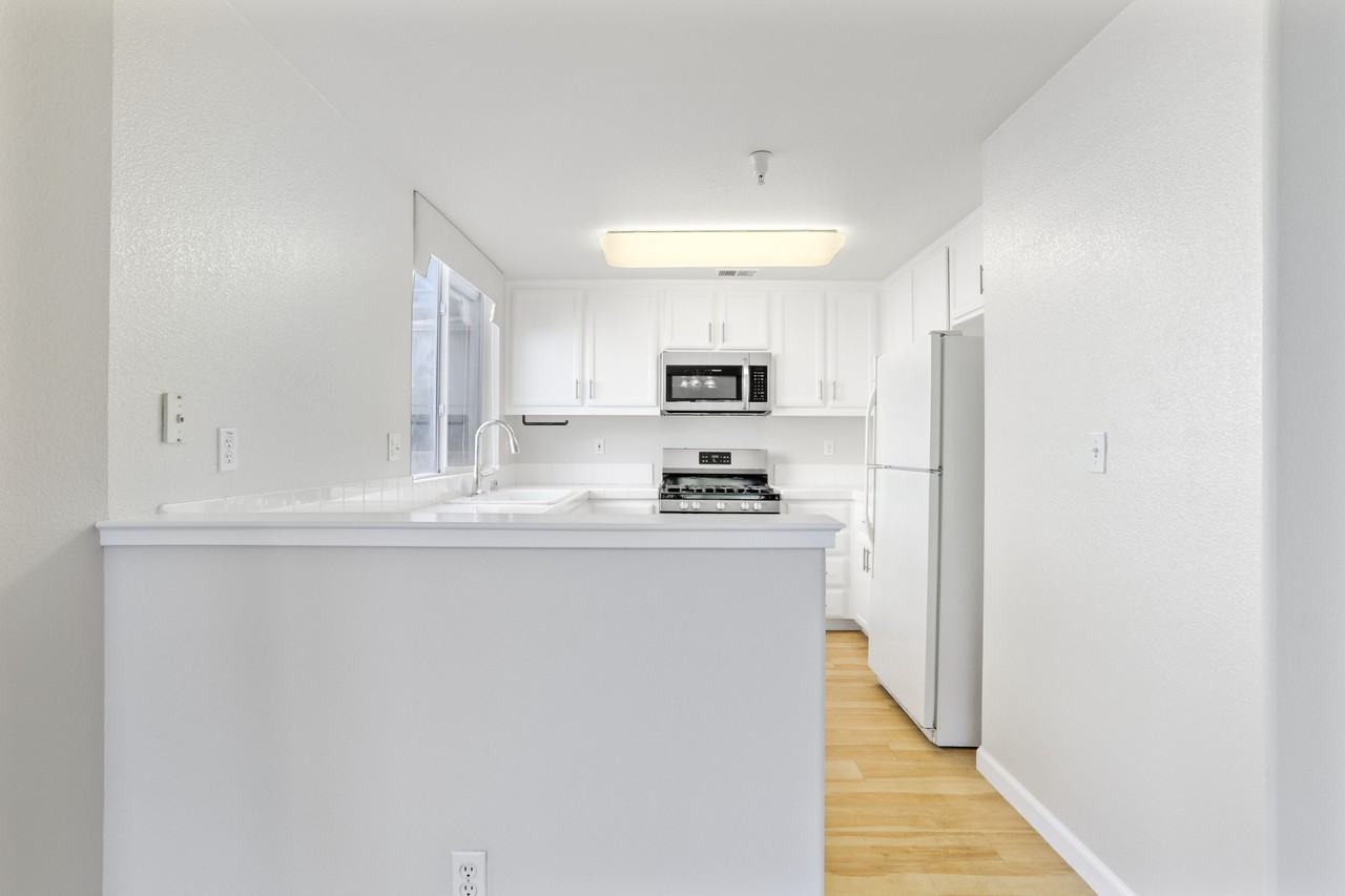 517 Tower Hill Ave #1 - Photo 6 of 40