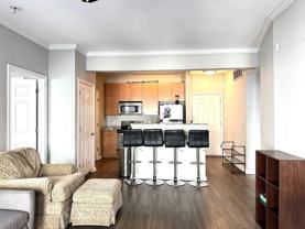 2502 Leon Street - 1Unit 409 #1 - Photo 1 of 1