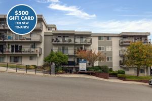 featured image of 280 Cypress St