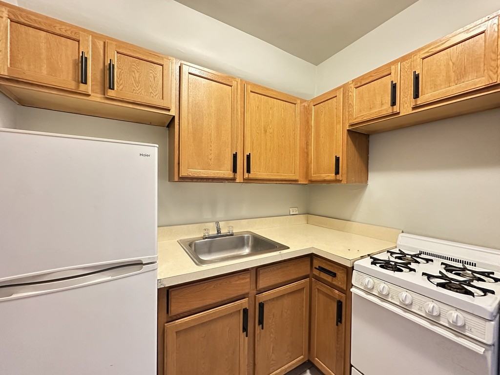 1164 N Dearborn St #409 - Photo 4 of 21