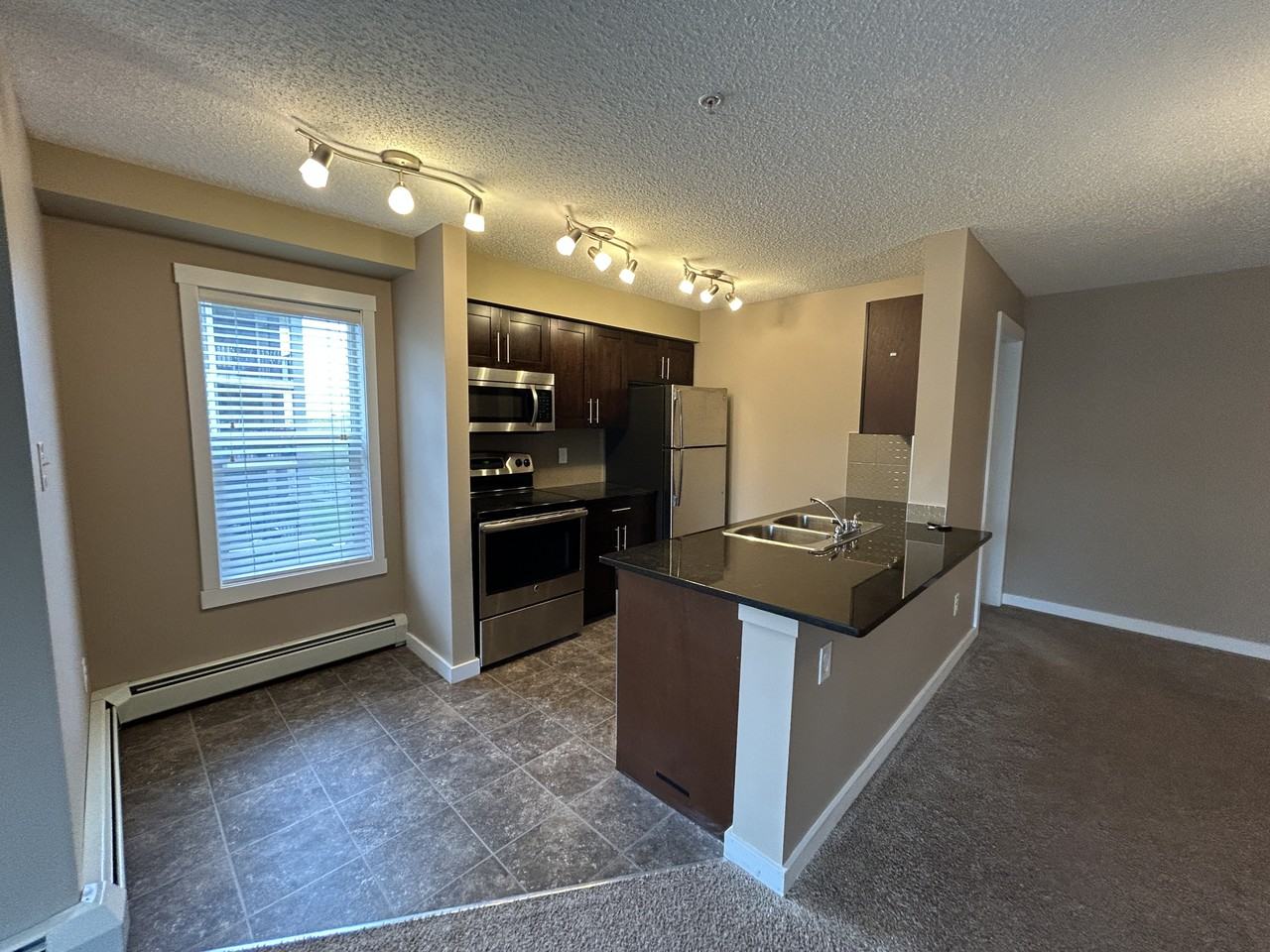 18126 77 Street Northwest unit #301, Edmonton, Alberta, Canada, T5Z 3K9 - Photo 4 of 19