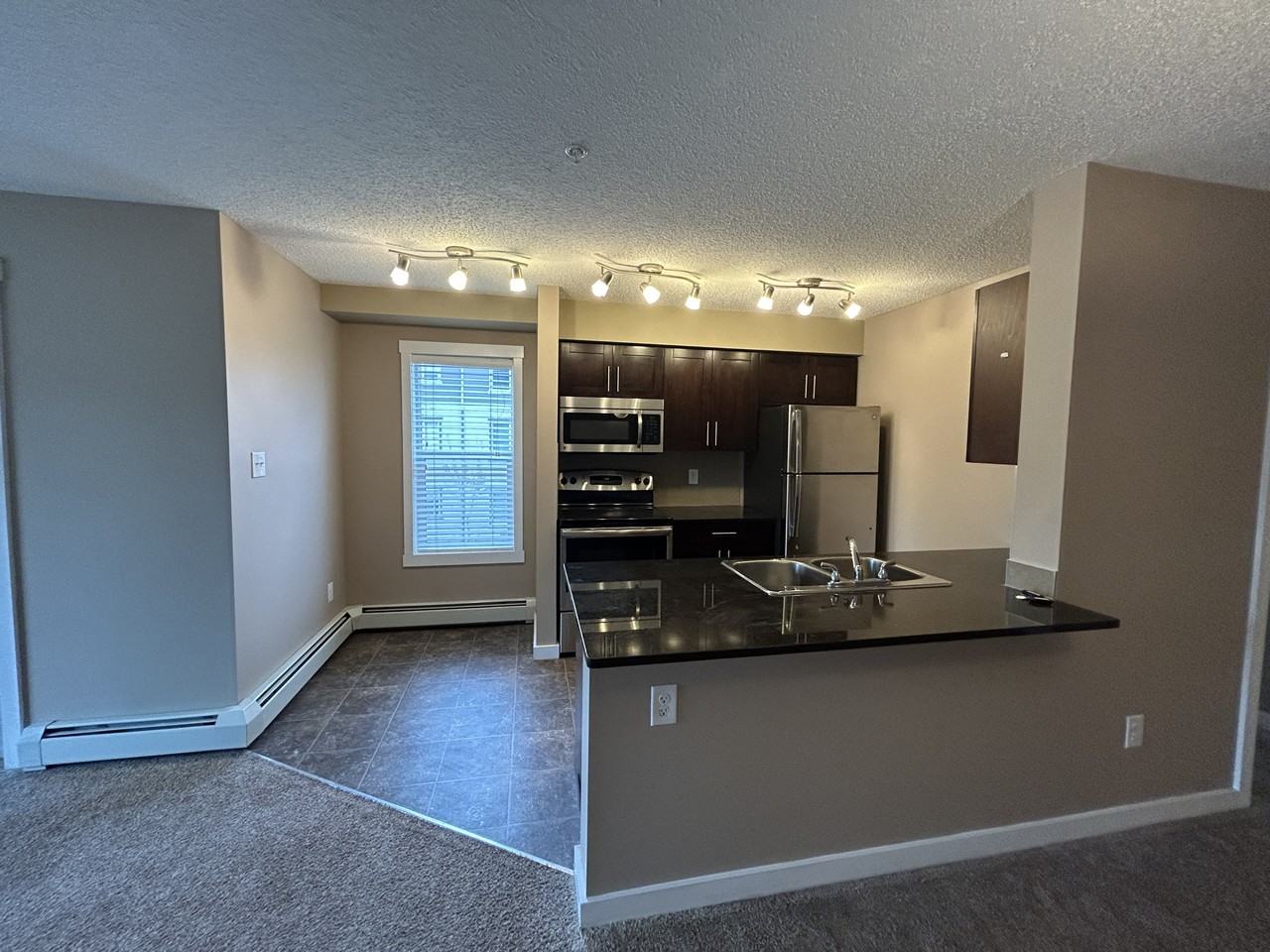 18126 77 Street Northwest unit #301, Edmonton, Alberta, Canada, T5Z 3K9 - Photo 5 of 19