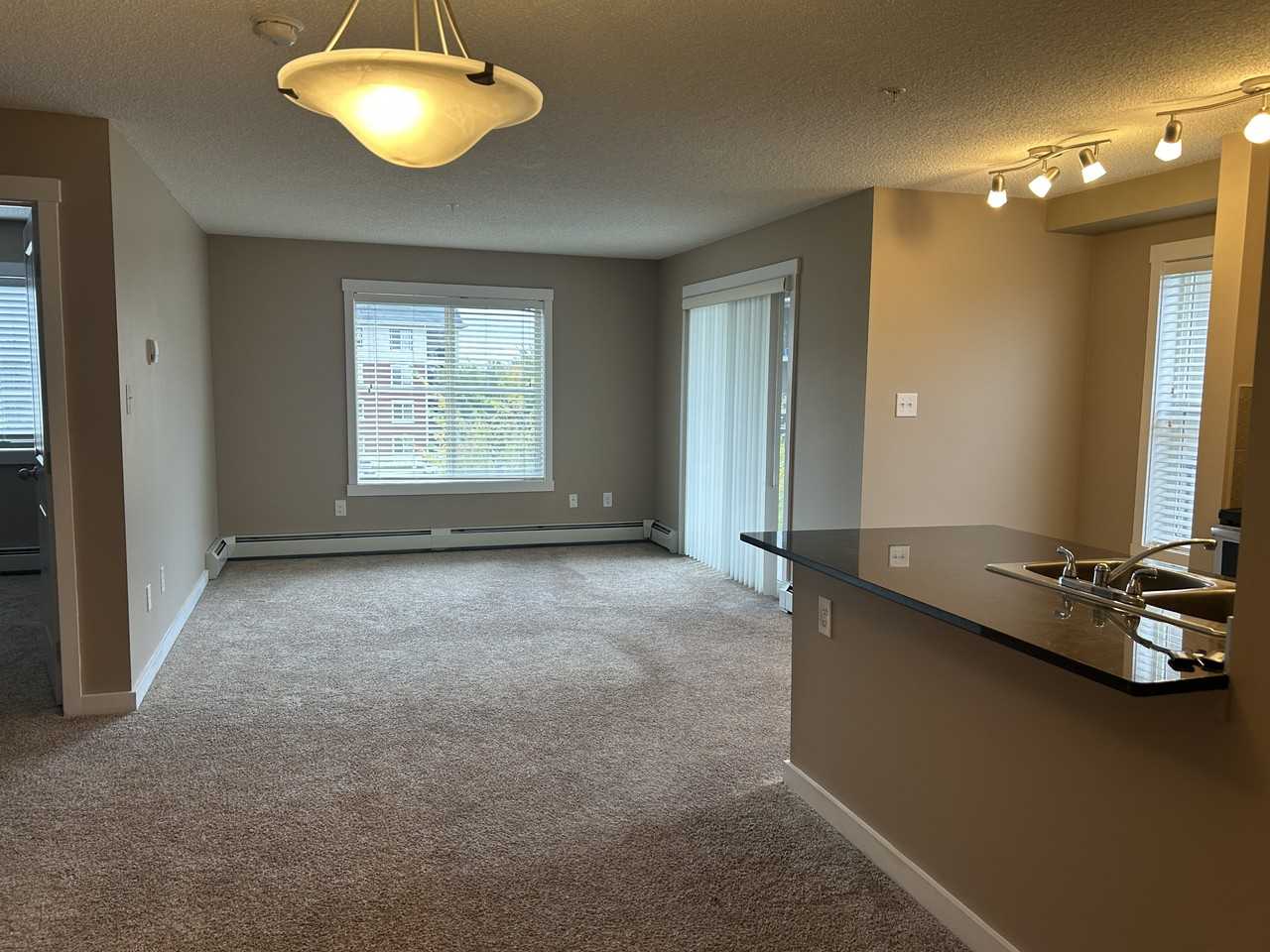 18126 77 Street Northwest unit #301, Edmonton, Alberta, Canada, T5Z 3K9 - Photo 6 of 19