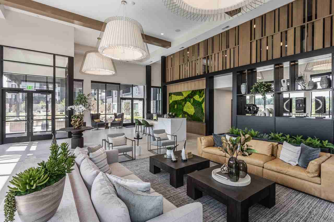 Sylo - Photo 7 of 47