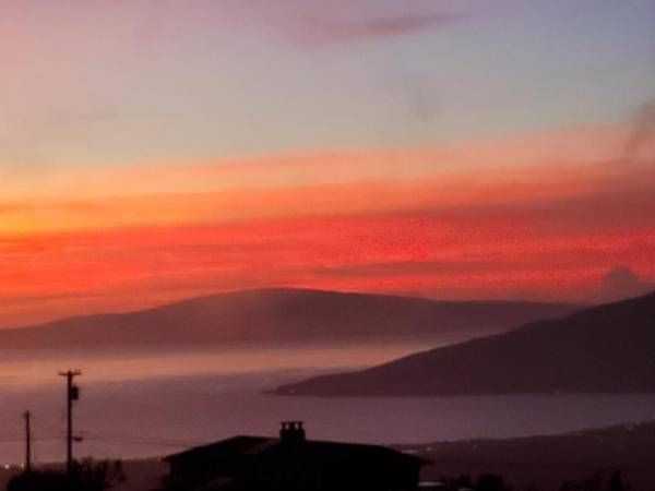 500 Naalae Rd - Photo 3 of 13