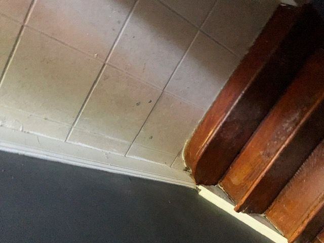 7400 Lawndale Ave - Photo 4 of 9