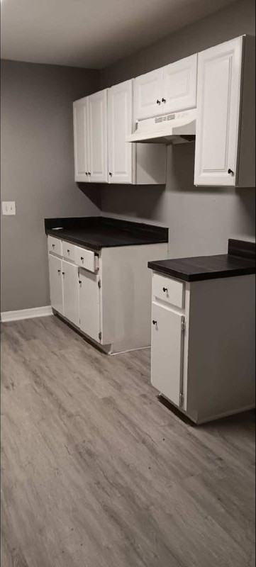 523 Oak Ave - Photo 3 of 11