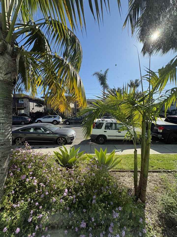 850 Camino Pescadero - 103 #103 - Photo 6 of 10