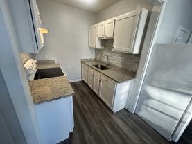 803 Essex St #1 - Photo 1 of 1