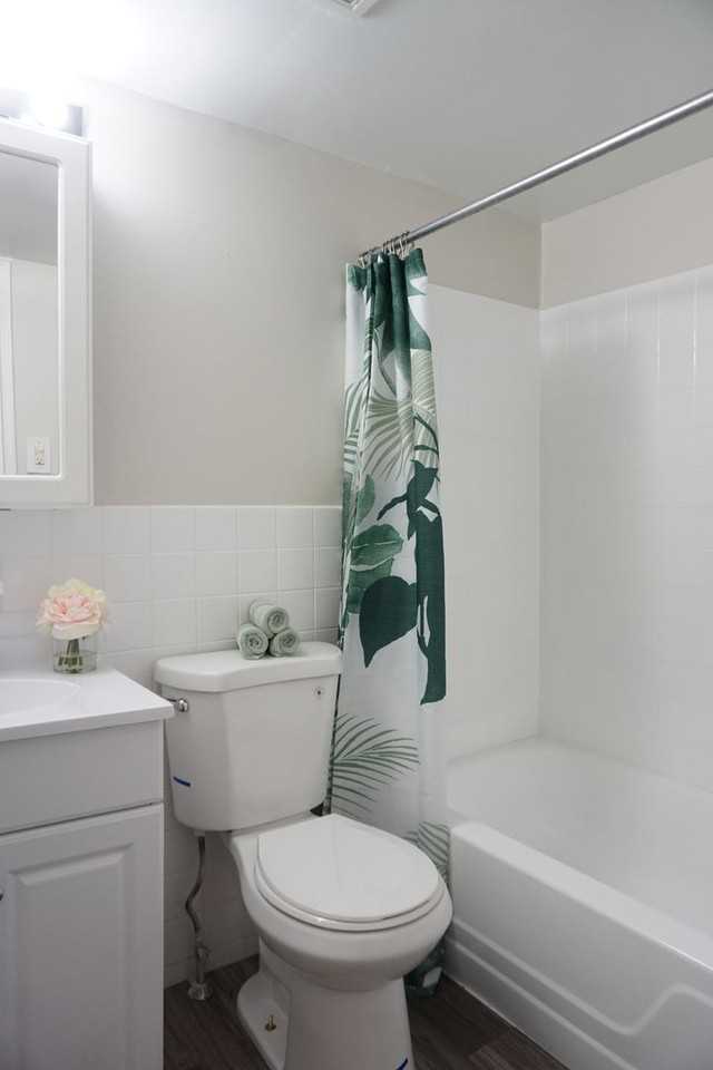 Bishop Hill Apartments - Photo 6 of 50