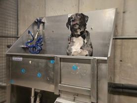 1604 Hoyt St - Photo 1 of 1