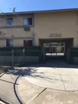 Tobias (TB) - Photo 1 of 1