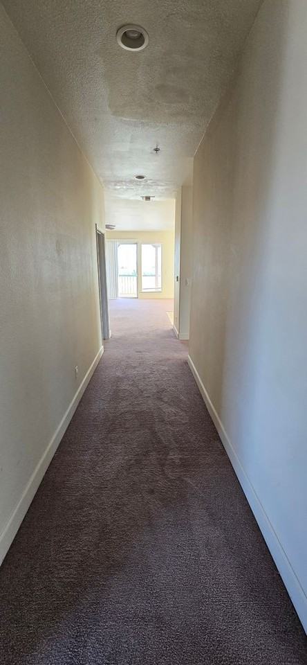 107 The Alameda - Photo 5 of 19