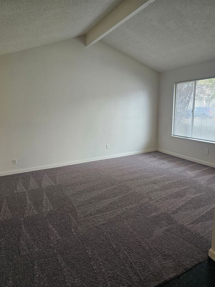 4316 Leafmont Way - Photo 7 of 20