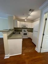 05-203 Doddi - Photo 1 of 1