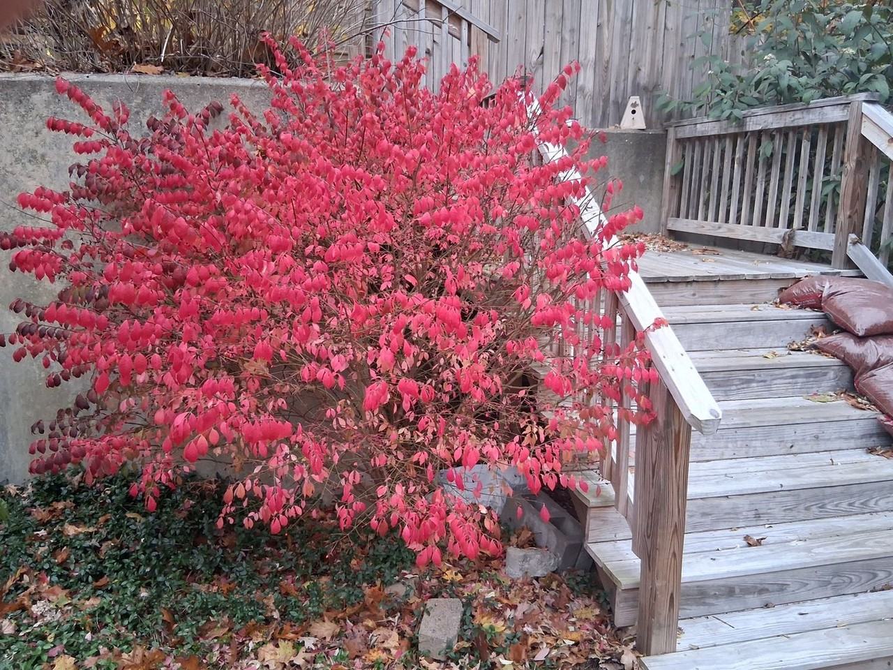 775 Knotty Oak Rd - Photo 3 of 21