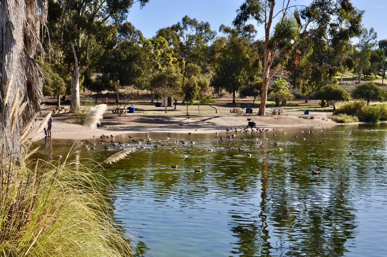 7695 Torrem St - Photo 3 of 24