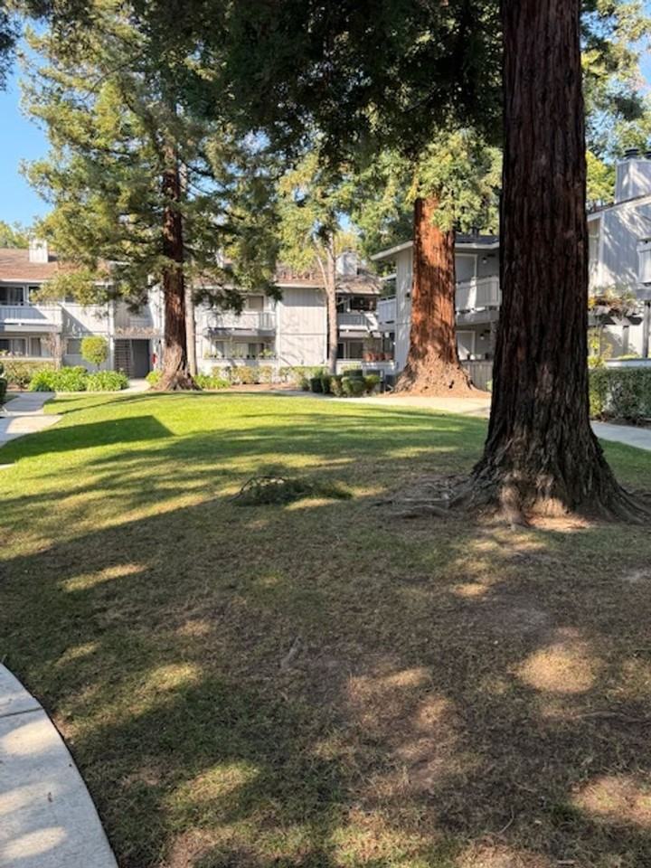 4021 Ralston Cmn - Photo 2 of 10