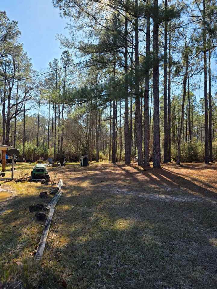 32250 Highway 57 - Photo 3 of 18