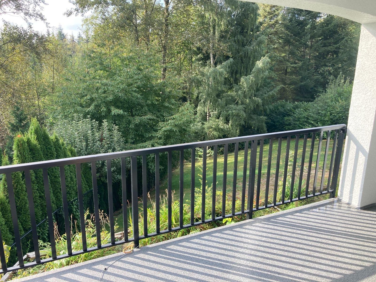 13520 55a Ave - Photo 3 of 50