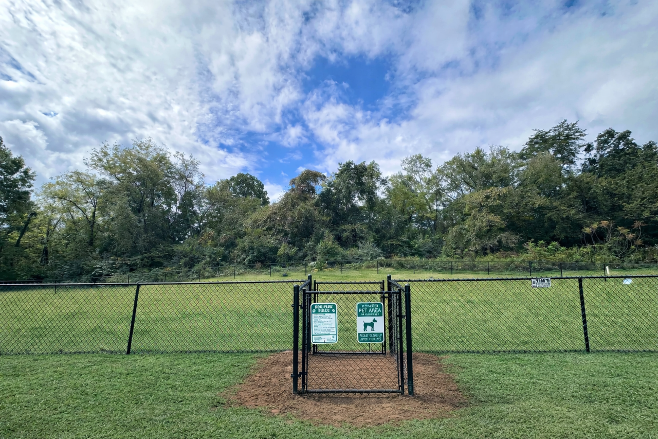 Rand at Naomi Apartment Homes - Photo 5 of 50