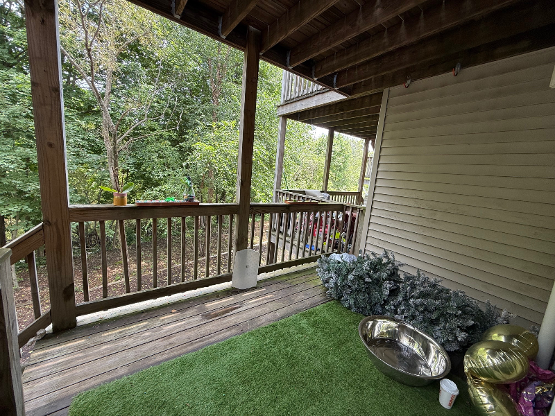 33 Grantley St #C - Photo 7 of 20