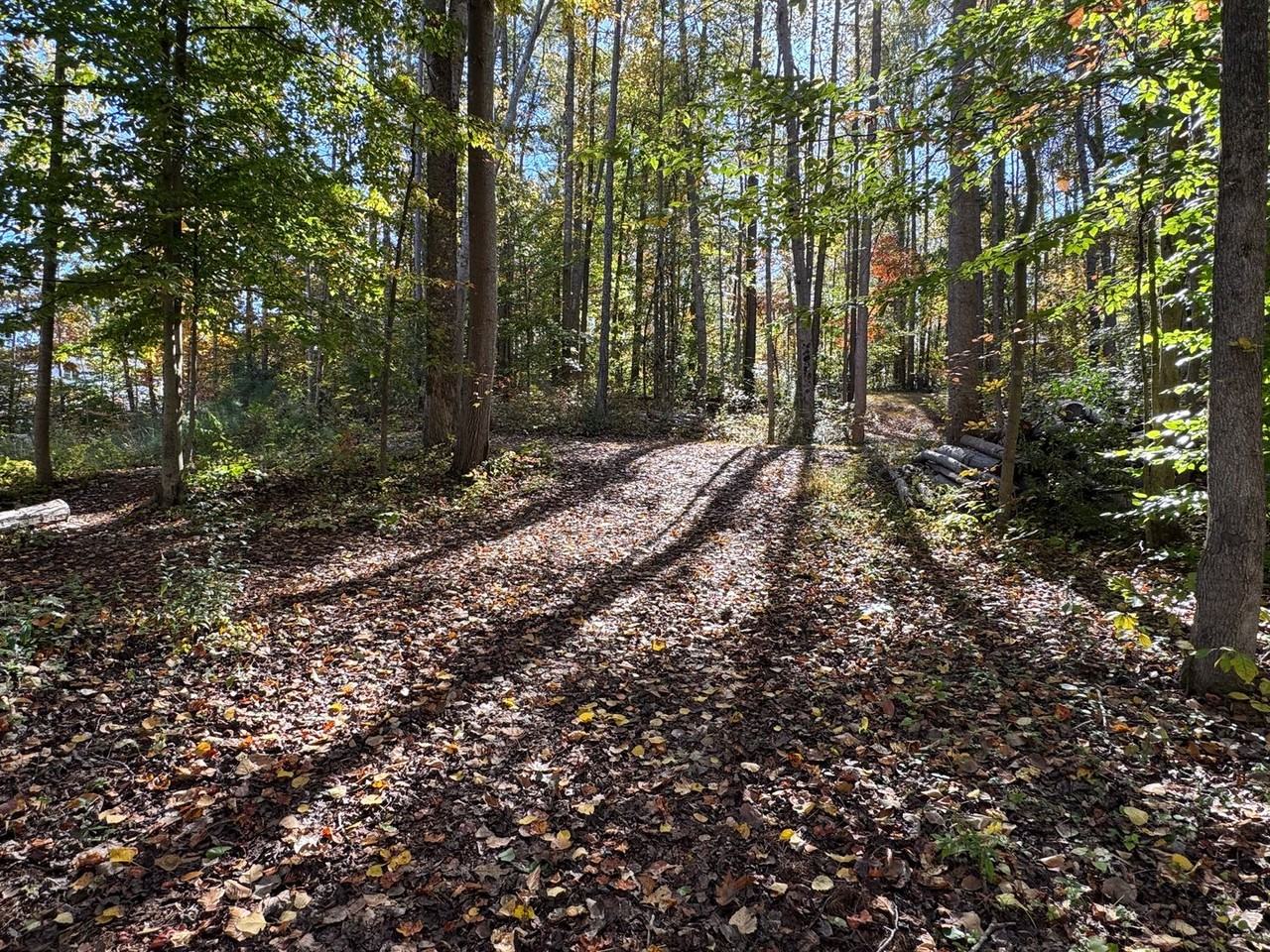 5 Artillery Dr - Photo 6 of 50