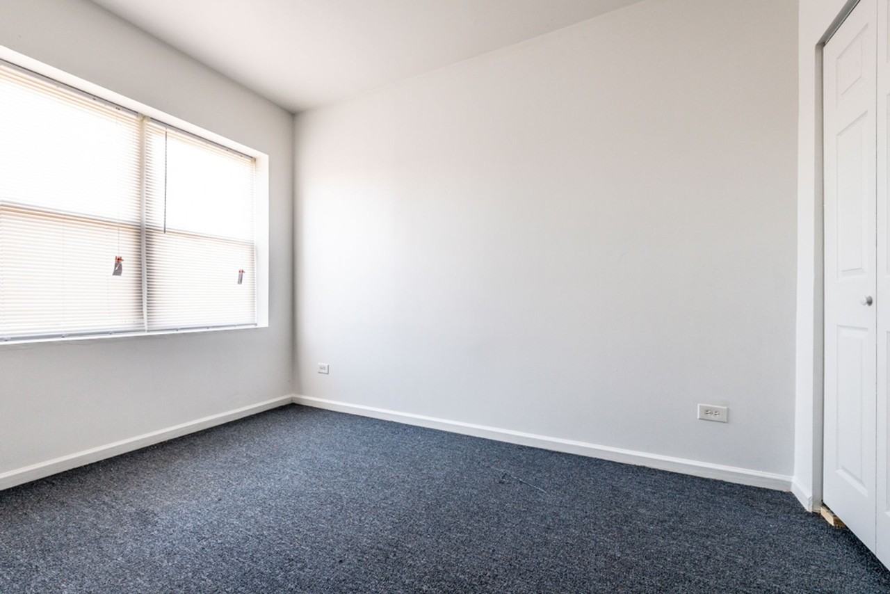 215 E 68th Chicago, IL 60637 - Photo 4 of 19