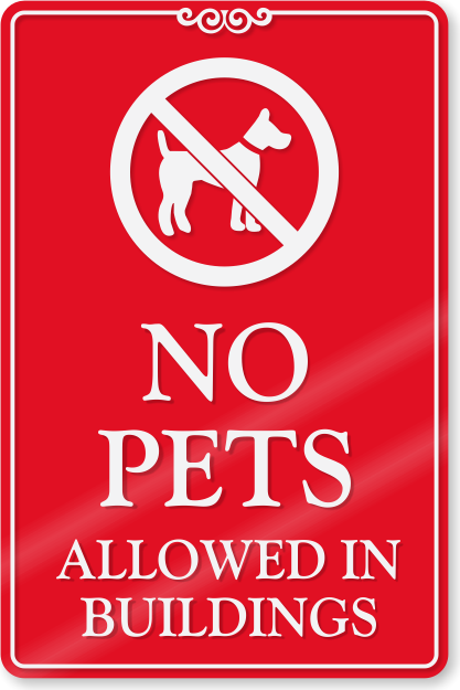 329 Spring St - Photo 5 of 7