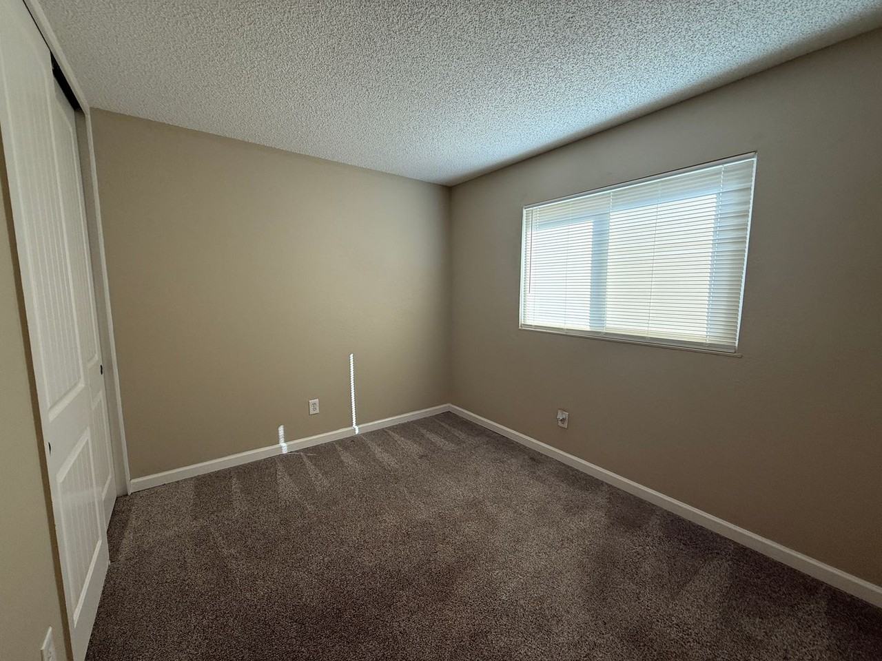 905 Pintail Dr - Photo 5 of 13