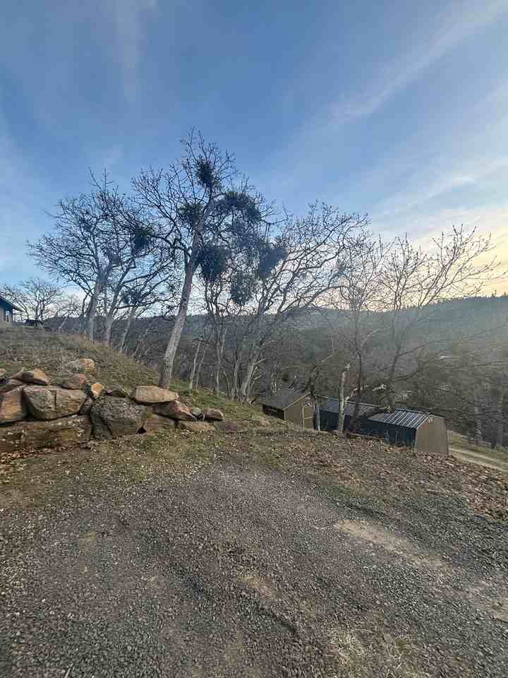 4388 Old Highway 99 S - Photo 5 of 5