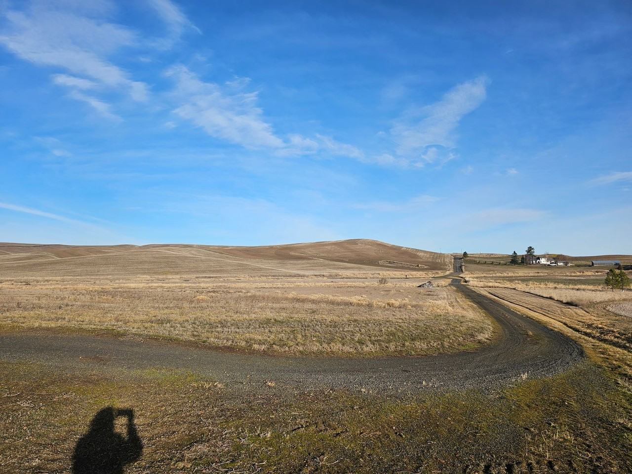 1101 Stan Wilcox Rd - Photo 4 of 42