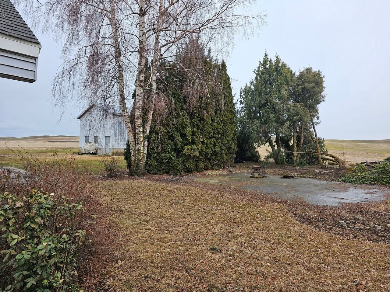 1101 Stan Wilcox Rd - Photo 5 of 42