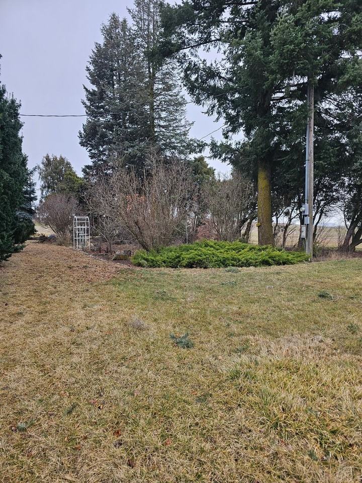 1101 Stan Wilcox Rd - Photo 6 of 42