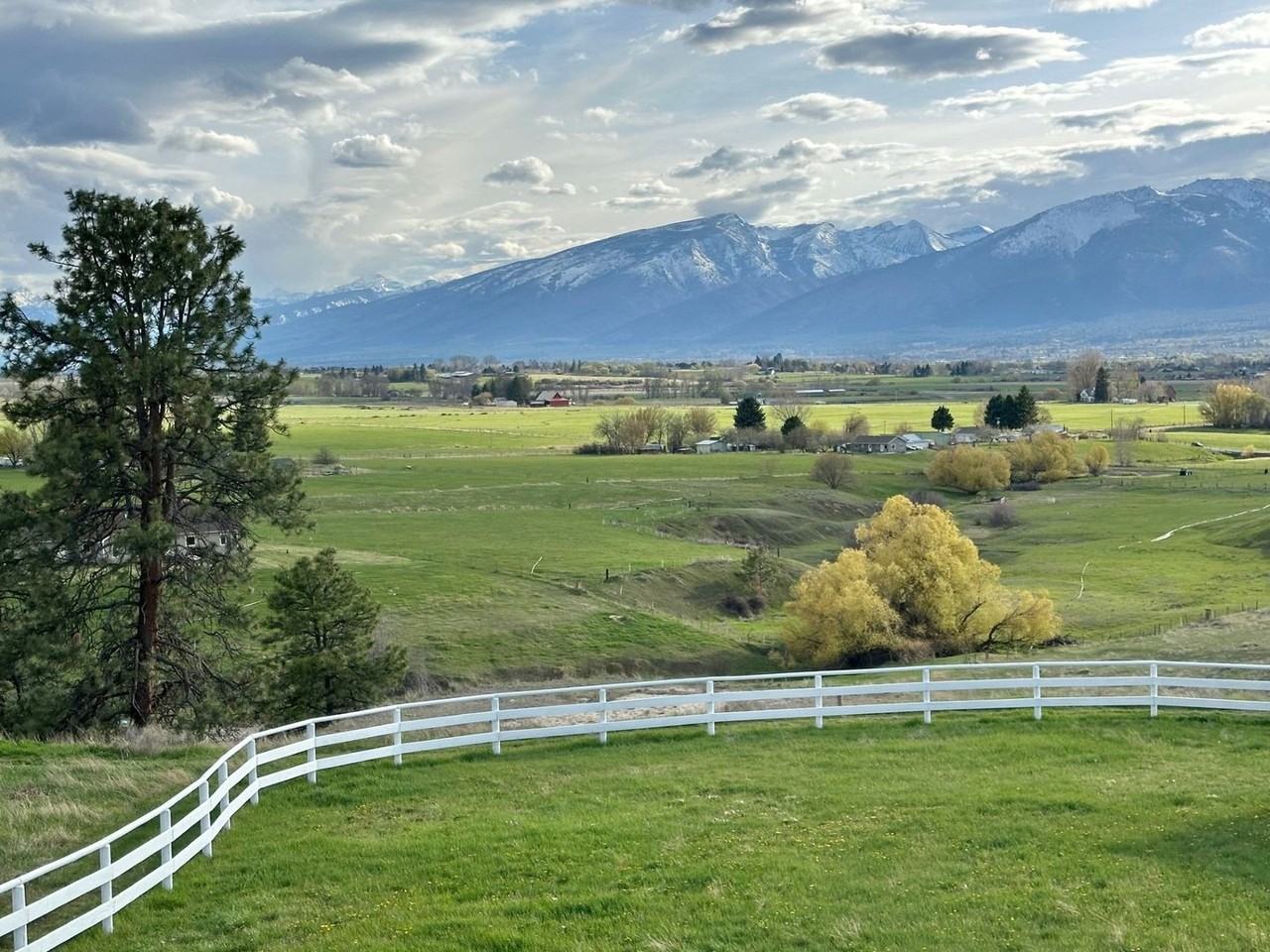 1183 Hard Rock Rd - Photo 4 of 25