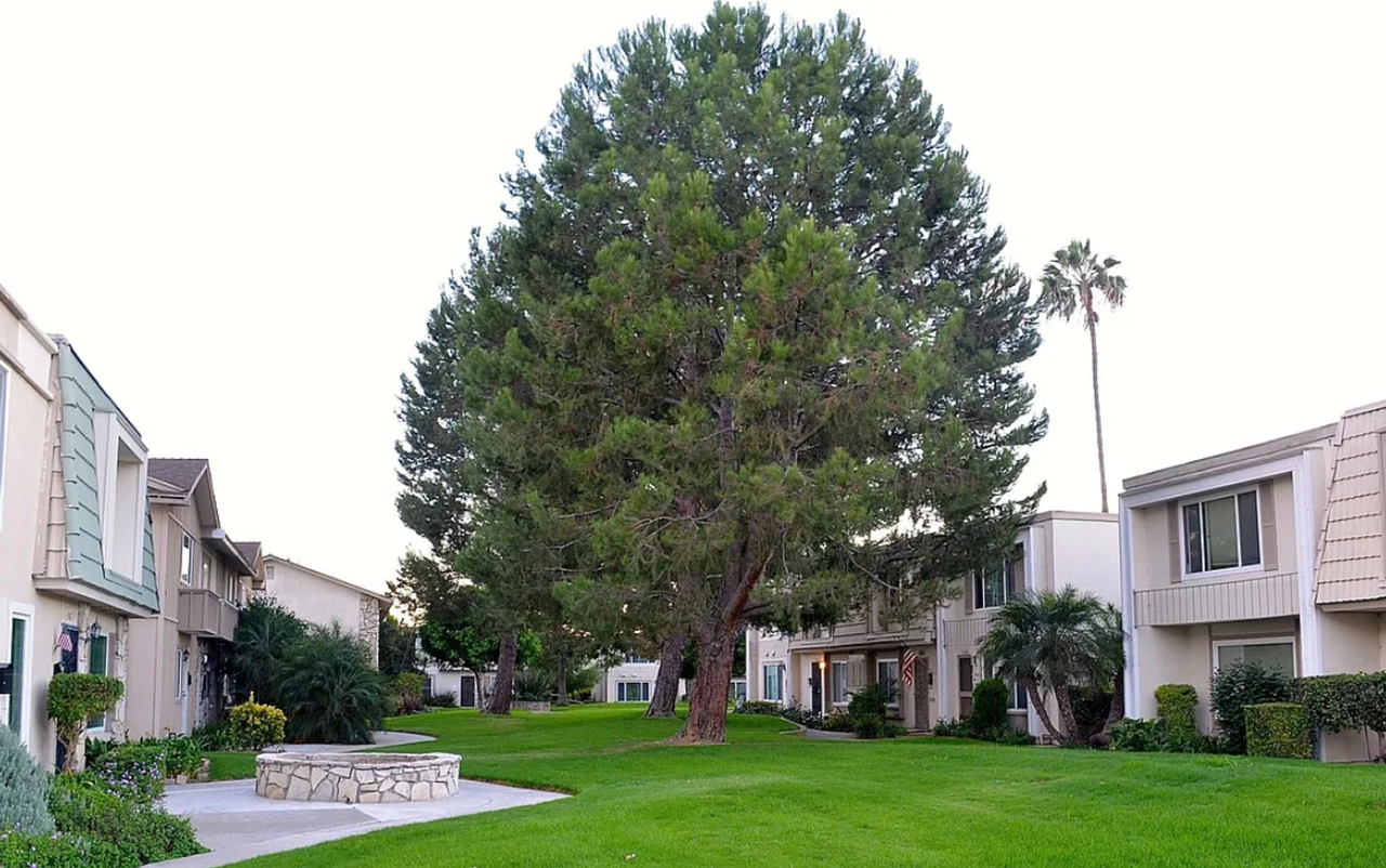 Paradise Manor Condo for lease - Photo 3 of 50