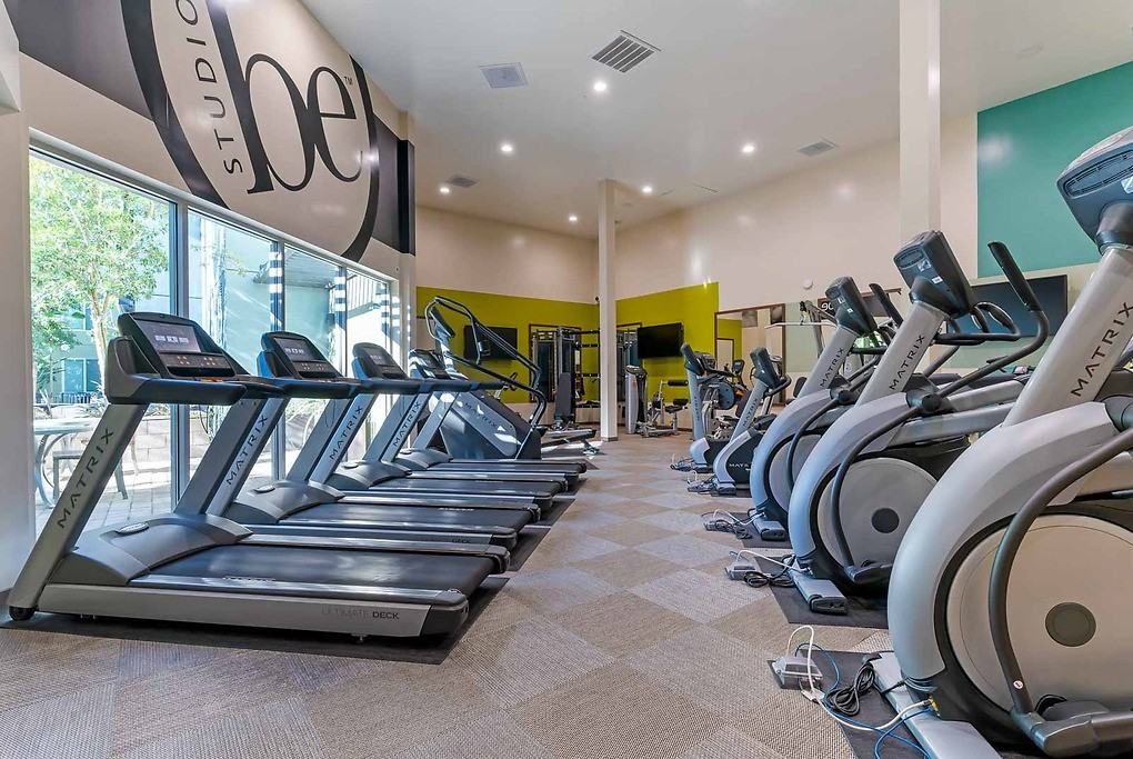 Solstice - Photo 5 of 51