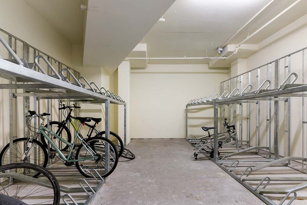 Solstice - Photo 7 of 51