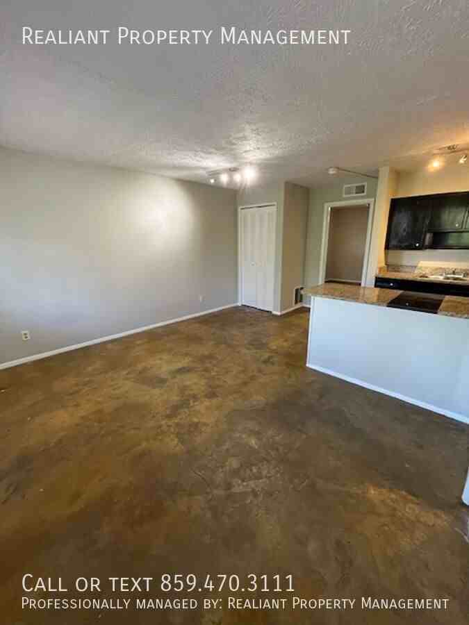 468 N Limestone #5 - Photo 4 of 11