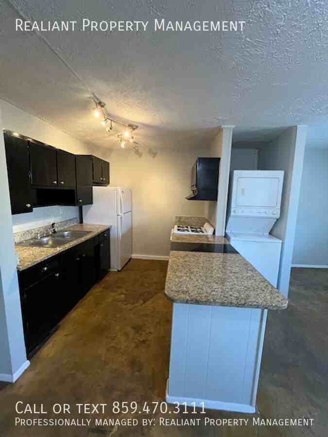 468 N Limestone #5 - Photo 6 of 11