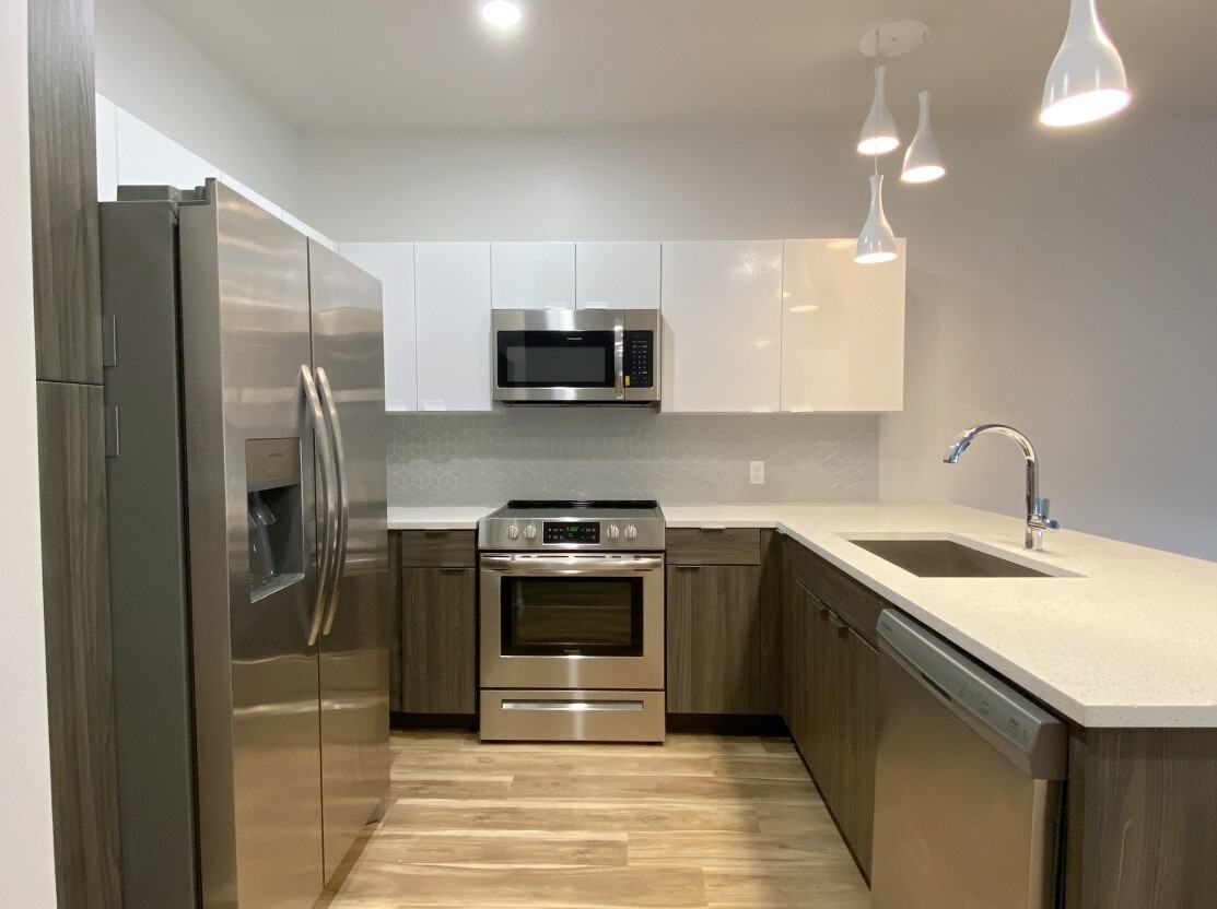 Nova - Photo 2 of 50