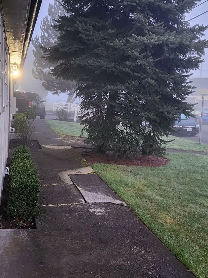 606 E 9th St #01 - Photo 3 of 29