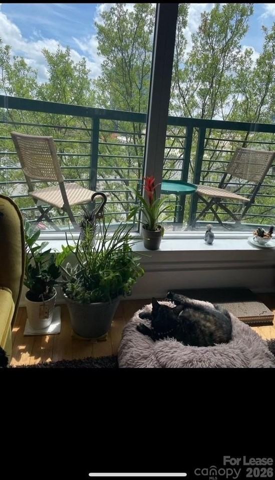 115 E Park Ave Unit 423 #423 - Photo 7 of 15