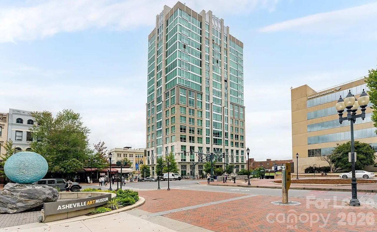 7 Patton Ave Ste 1405 #1405 - Photo 6 of 20