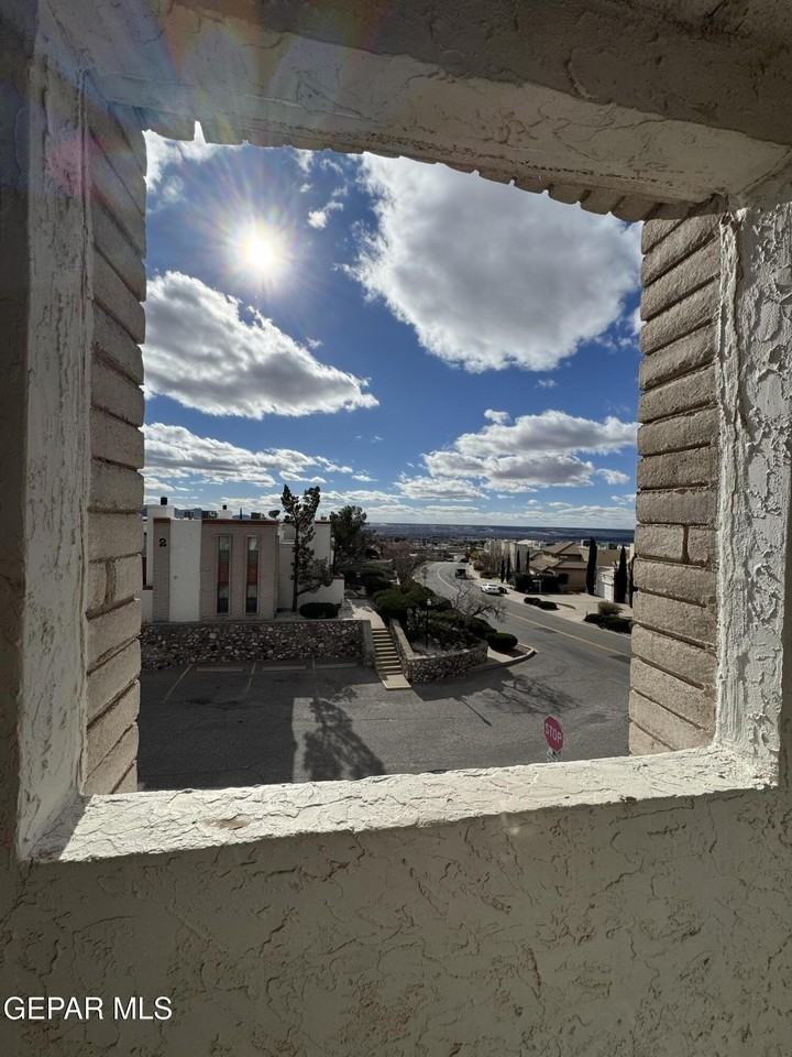 6201 Escondido Dr Apt 3c #3C - Photo 4 of 26