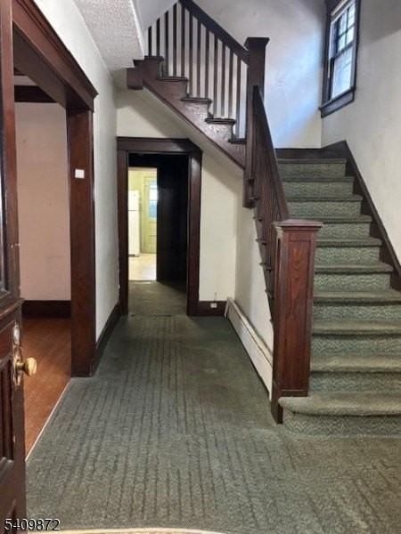 15 Albion St - Photo 2 of 25