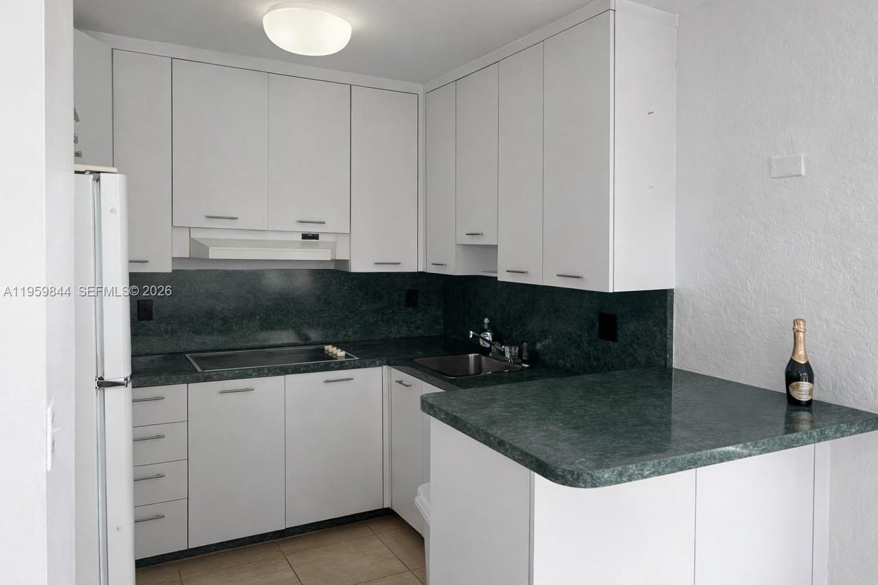 345 N Fort Lauderdale Beach Blvd #201 - Photo 5 of 14