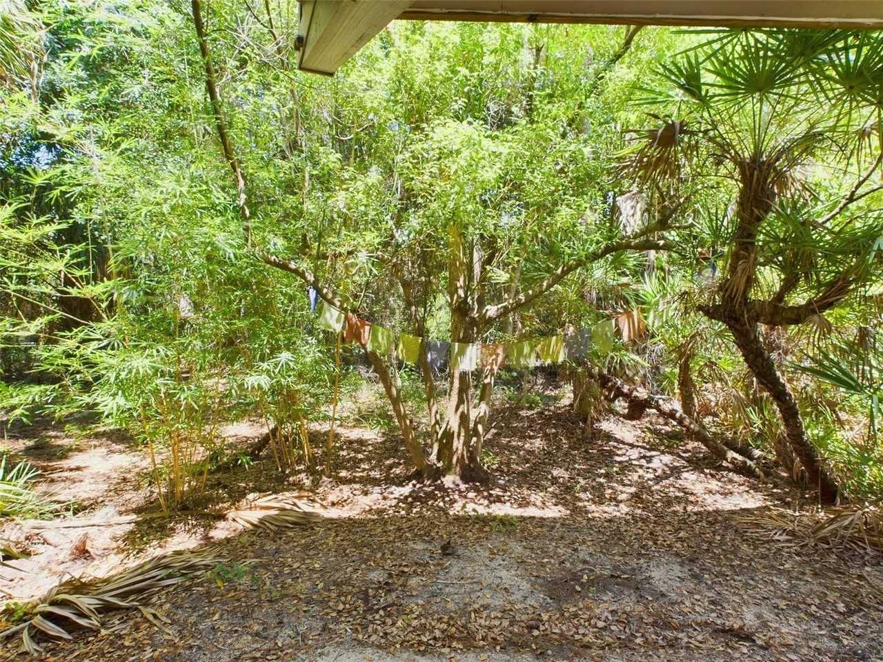 2907 Marion Way #2907 - Photo 5 of 24